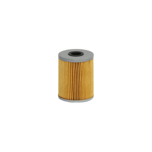 GUD G1025 Oil Filter - Peers Auto